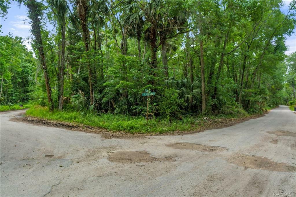 Property Photo: 4564 S Le Woods Drive FL 34448