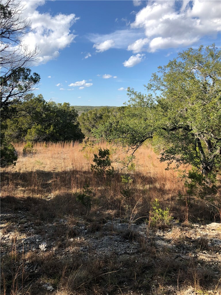 Property Photo:  00 Tract 1B Fm 2325  TX 78676 