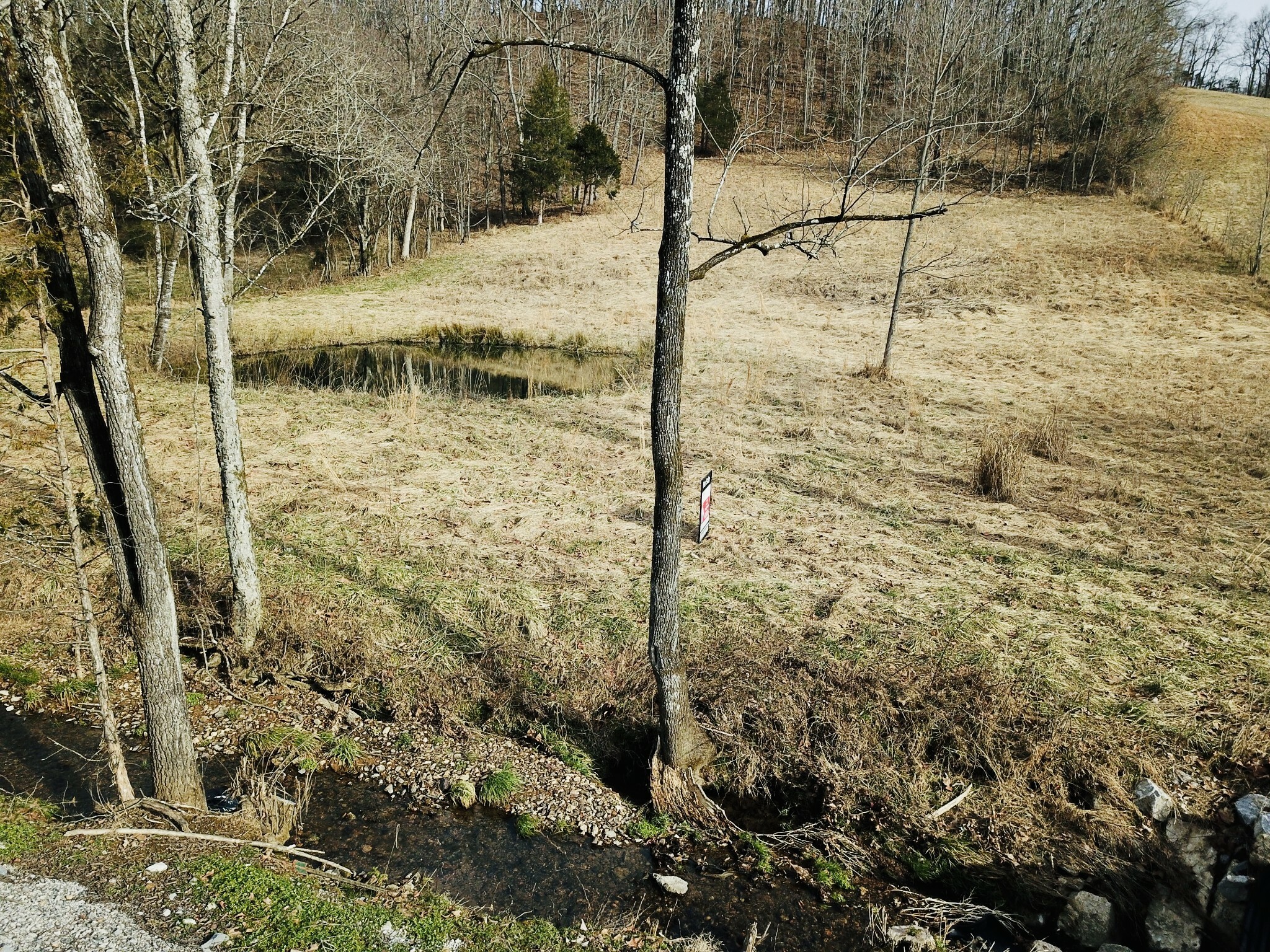 Property Photo:  0 Stiversville Rd  TN 38451 