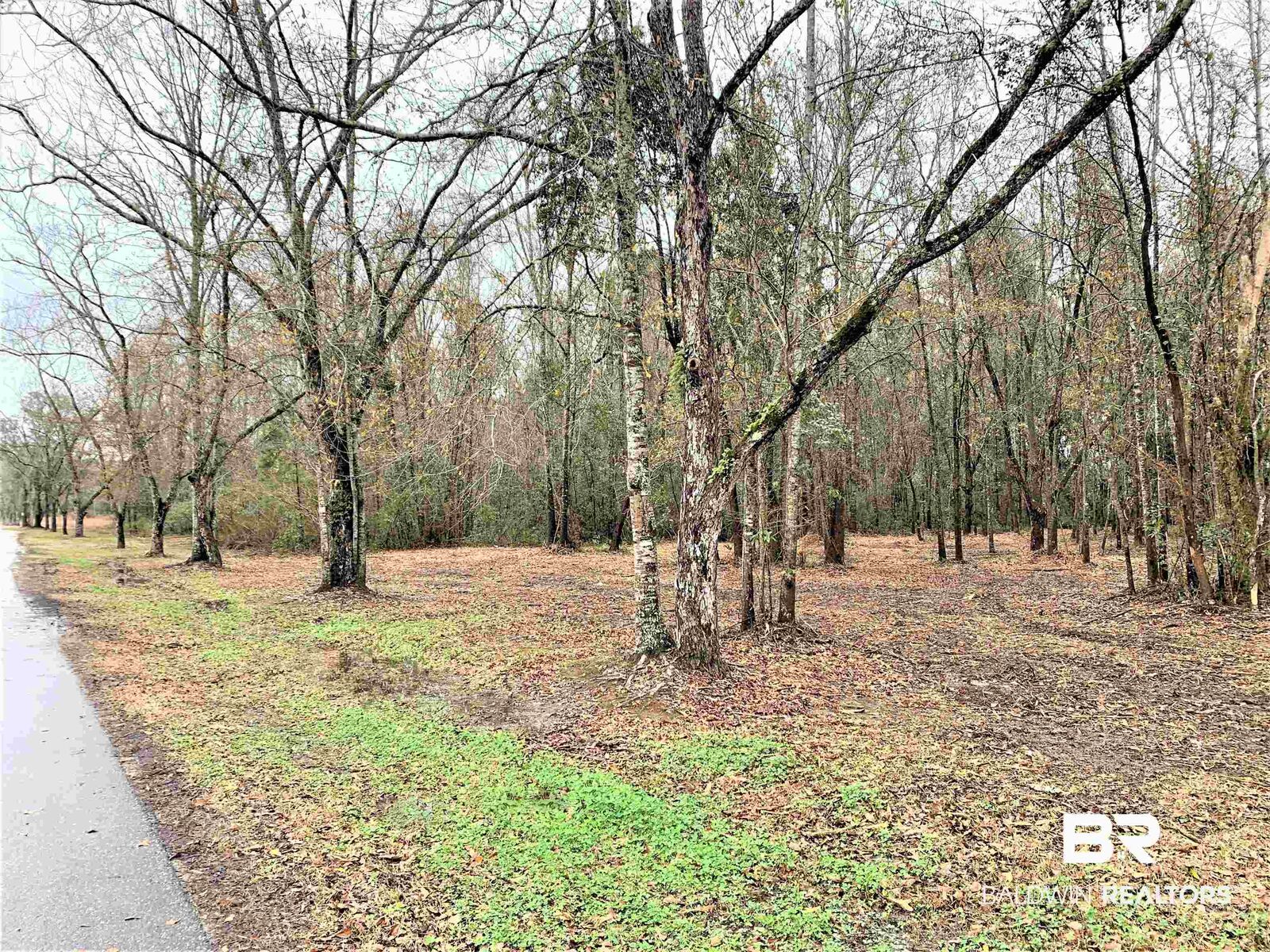 Property Photo:  0 Highway 181  AL 36532 