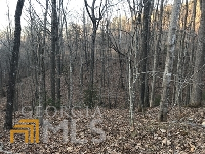 Lot 102 Ridge Pointe Way  Blairsville GA 30512 photo