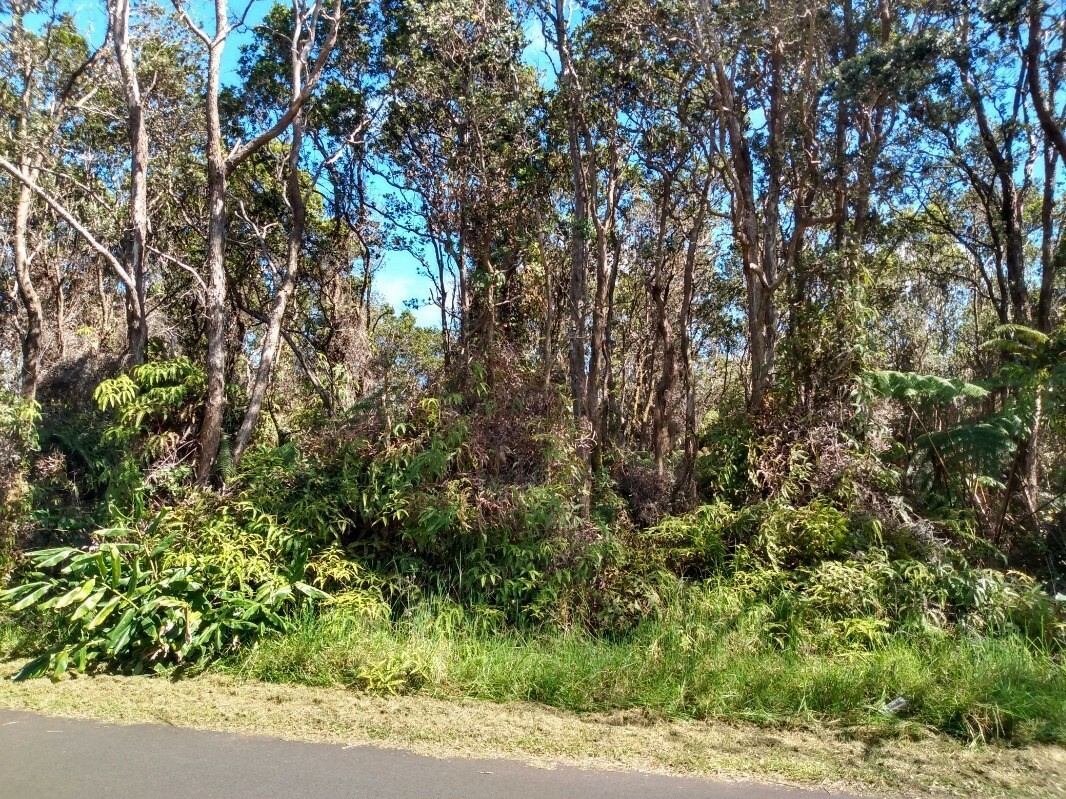 Property Photo:  Liona St  HI 96785 