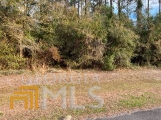 Property Photo:  V/L 5 Sabinas Way  GA 31558 