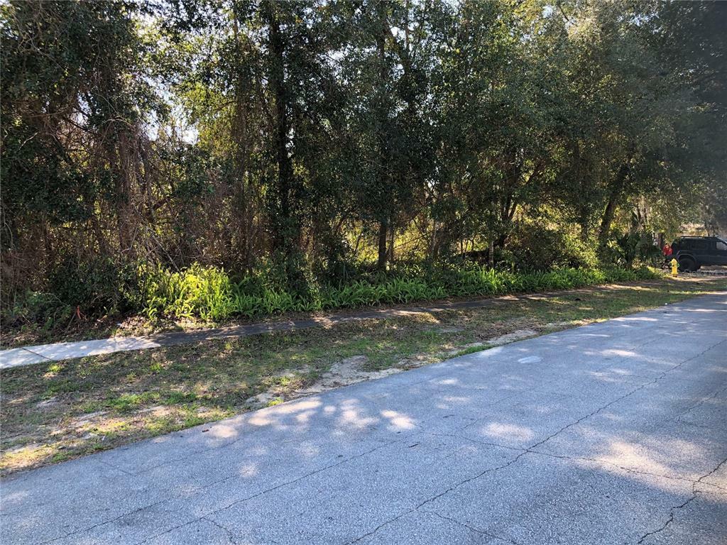 Property Photo:  517 Cloudcroft Drive  FL 32738 