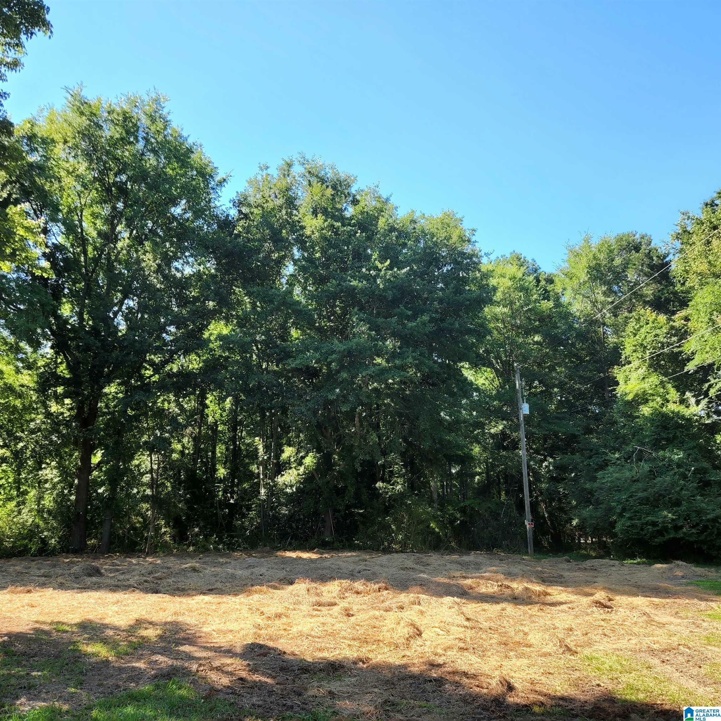 Property Photo: 2501 Cahaba Valley Road 0 AL 35124