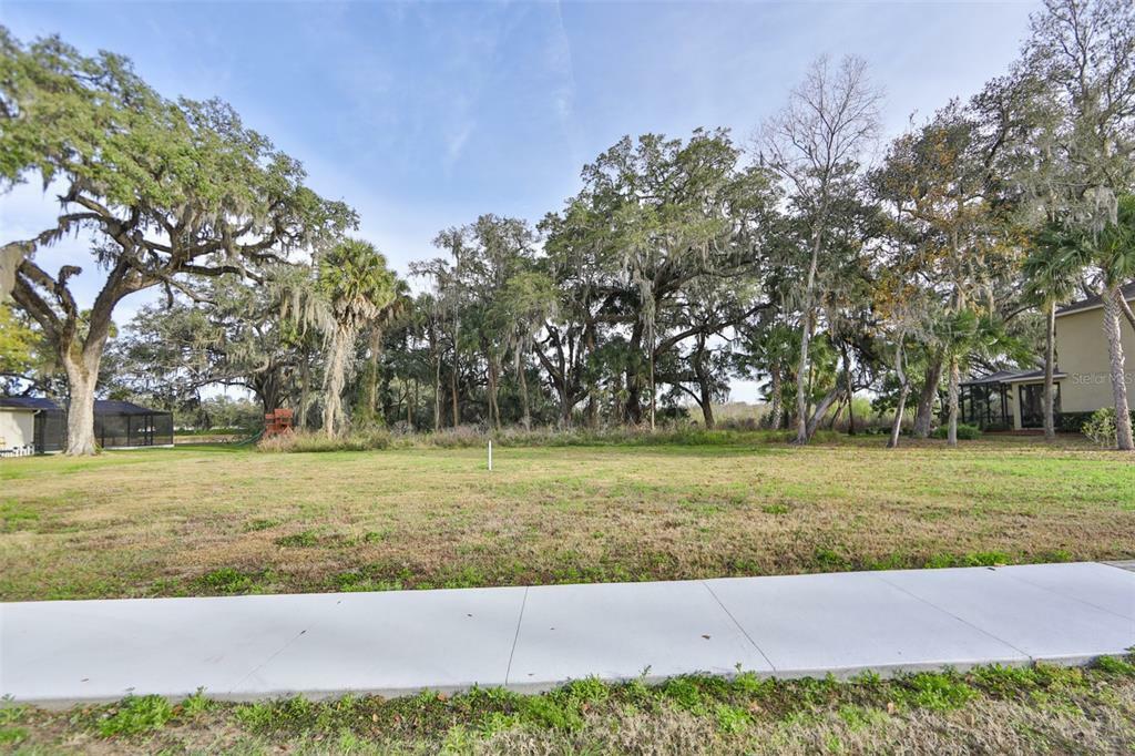 Property Photo:  1006 Hickory Fork Drive  FL 33584 