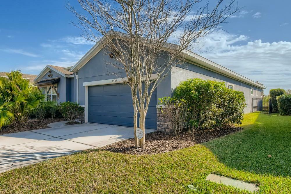 Property Photo:  6907 Crestpoint Drive  FL 33572 