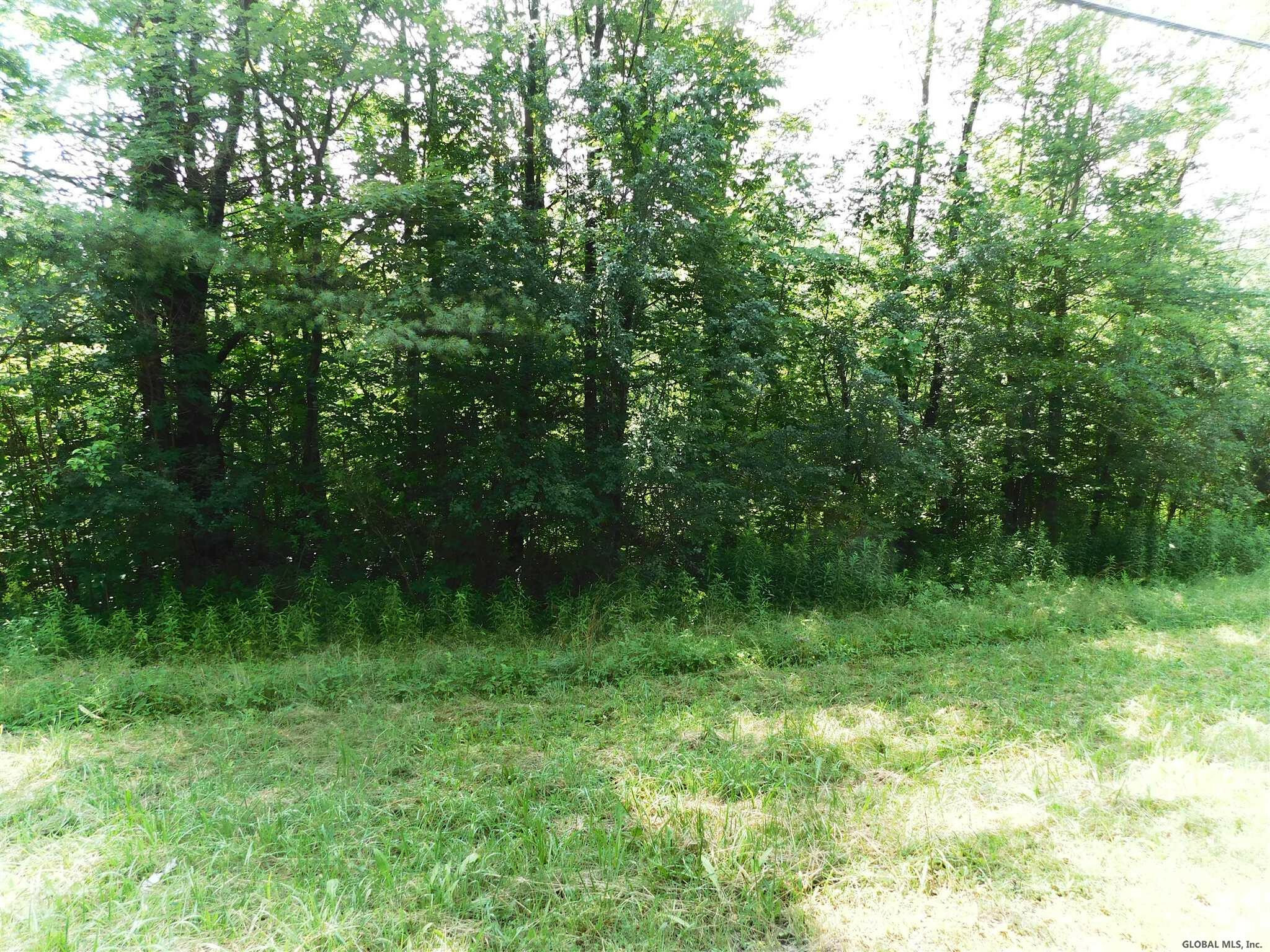 Property Photo:  L4212 Skyline Drive  NY 12056 