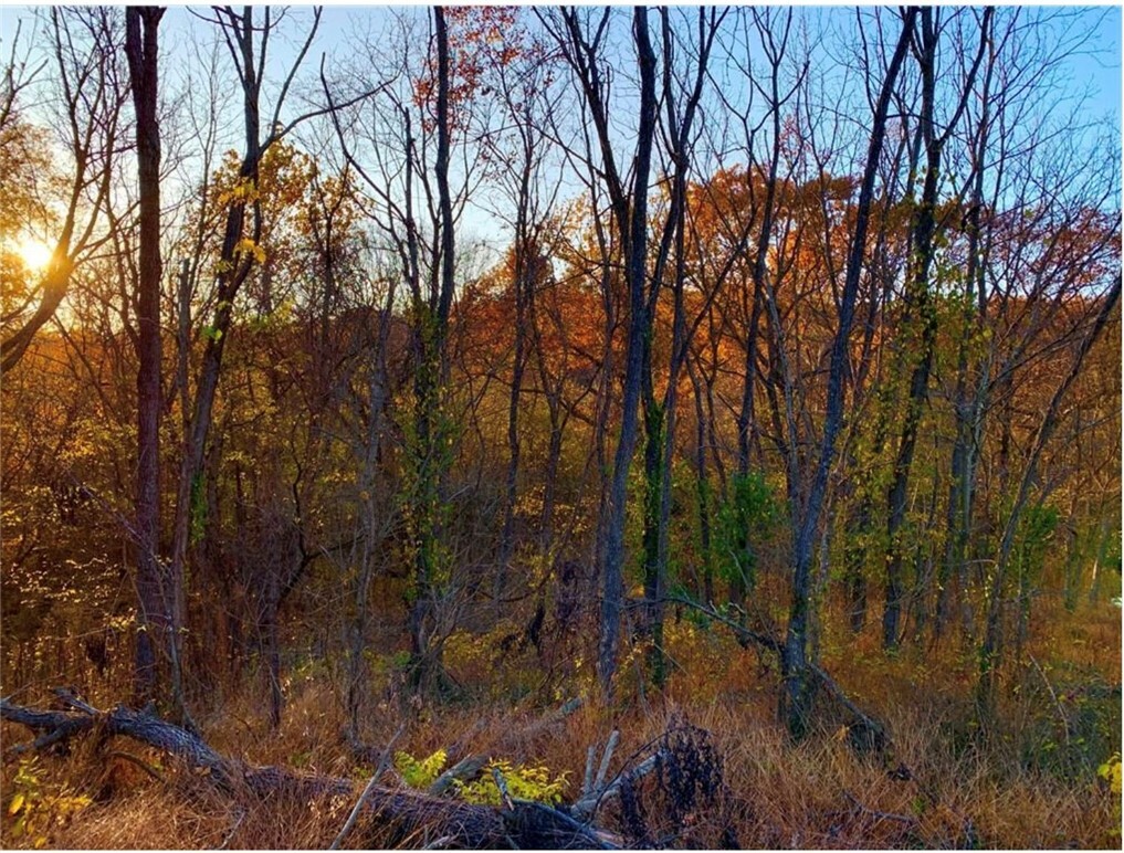 Property Photo: Olmsted Place AR 72715