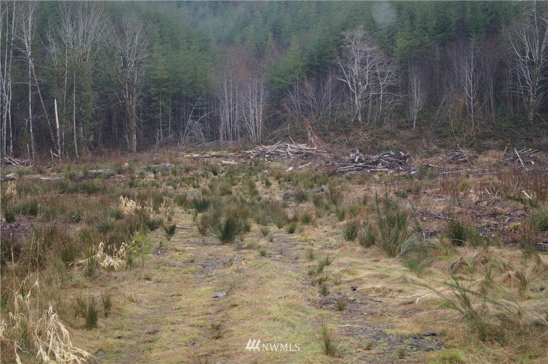 Property Photo:  600 E Satsop Road  WA 98541 