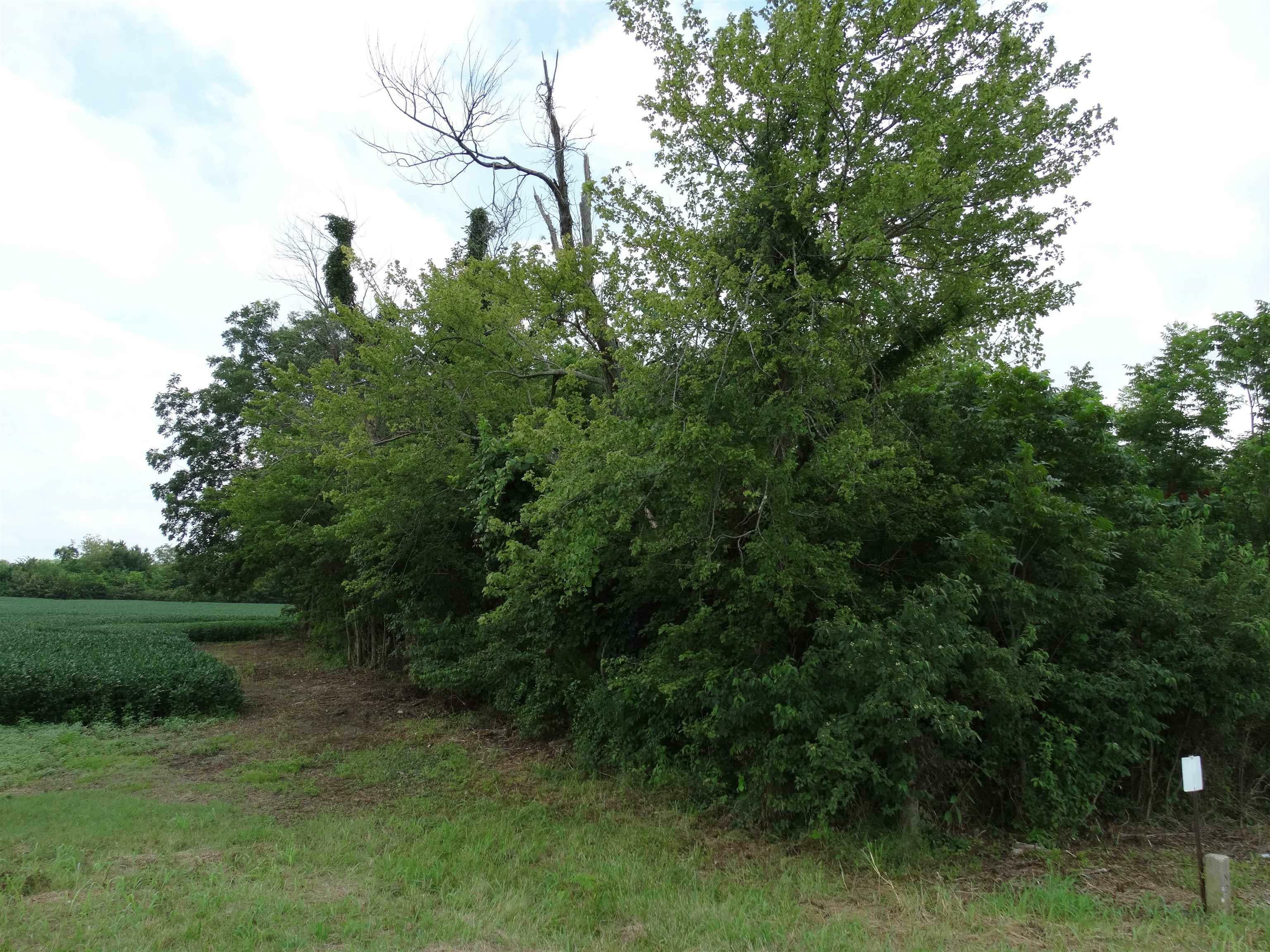 Property Photo:  10800 Hwy 69 &Amp Along Ohio River Road  IN 47620 