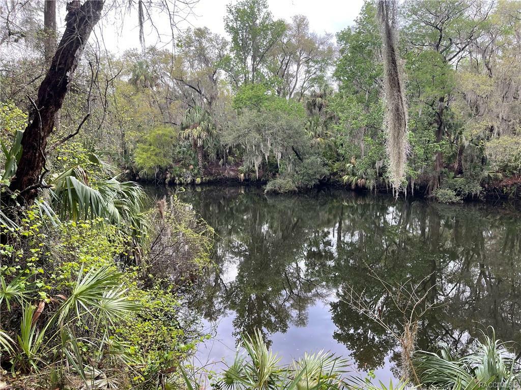 Property Photo:  10574 N Dawnflower Point  FL 34428 