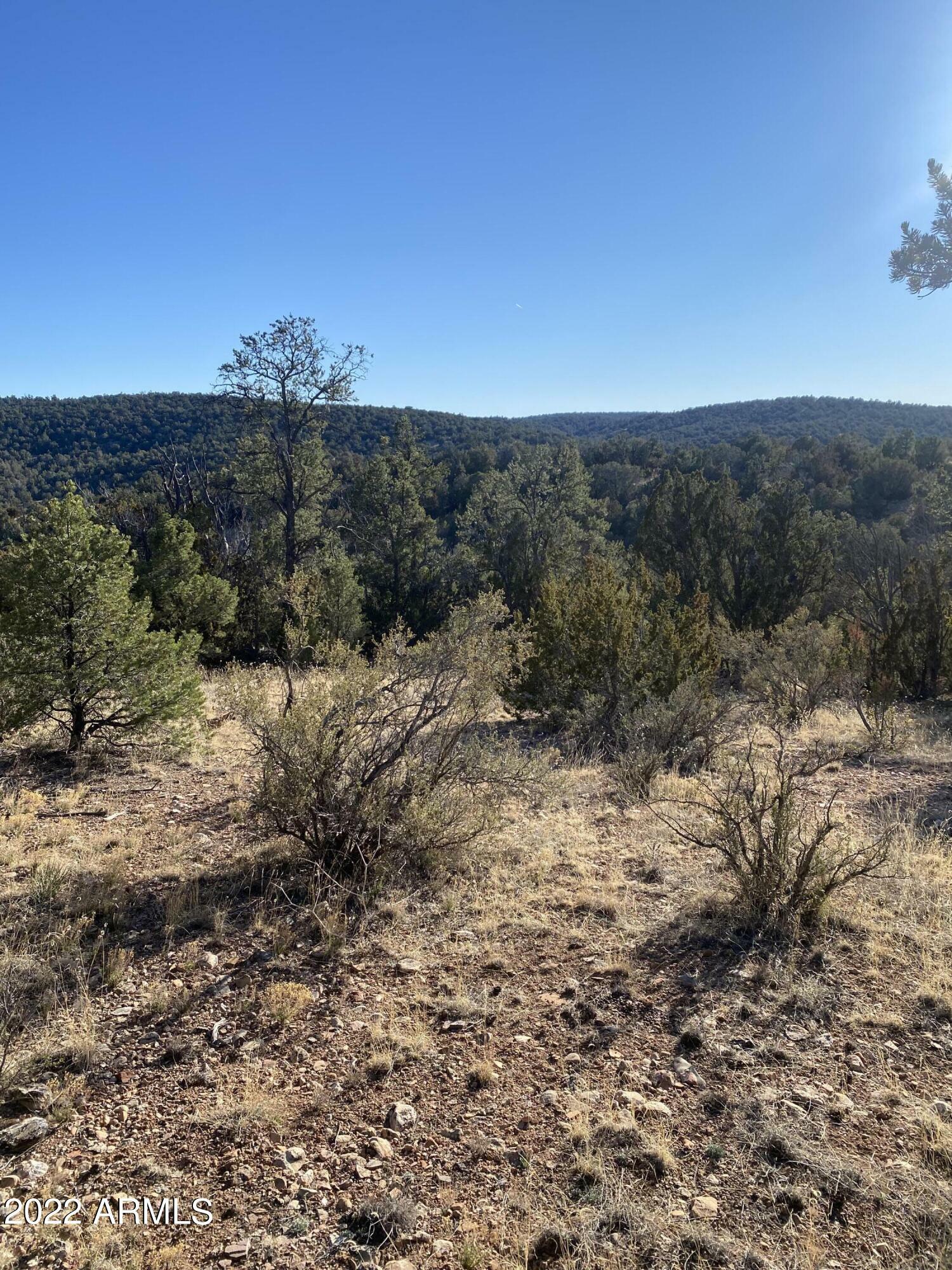 Property Photo:  51874 N Cordero Road 3382  AZ 86337 