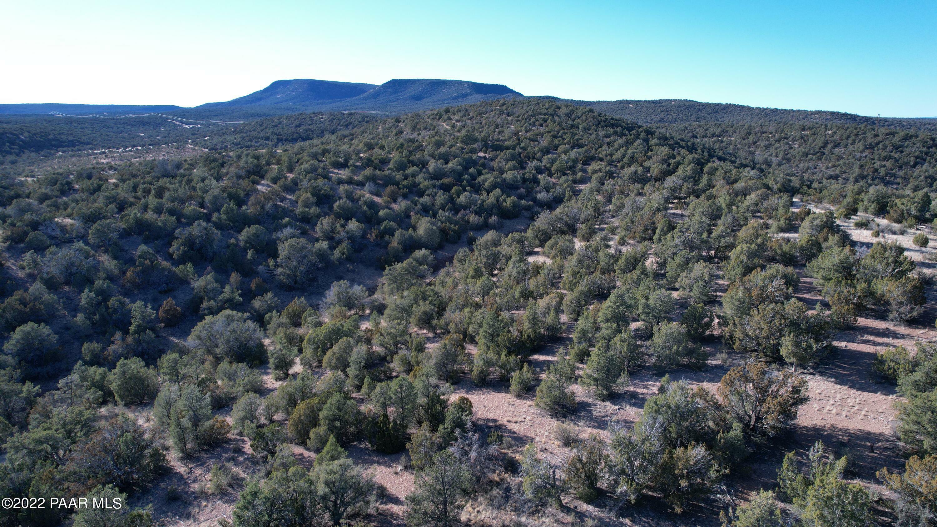 Property Photo:  51824 N Cordero Road  AZ 86337 