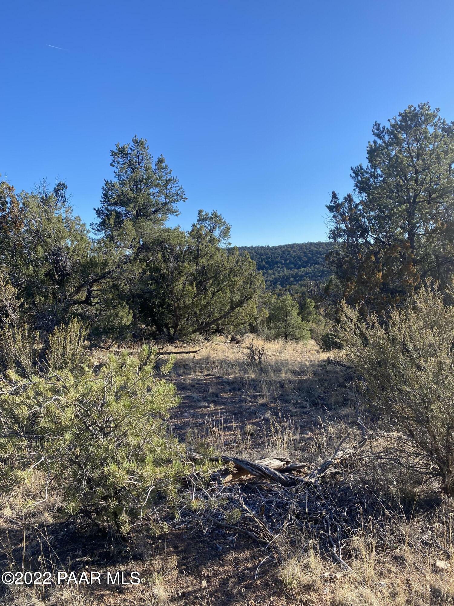 Property Photo:  51844 N Cordero Road  AZ 86337 