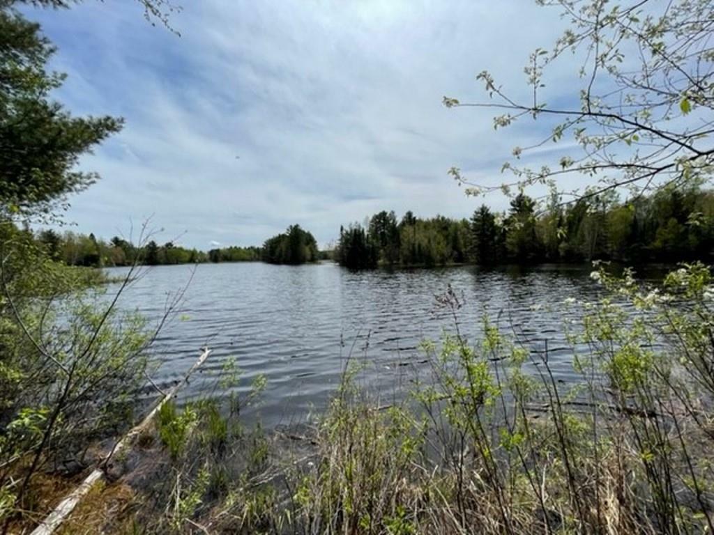 Lots 13 & 14 Wilderness Drive  Tomahawk WI 54487 photo