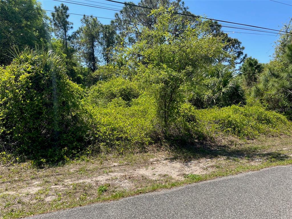 Property Photo: Dolomite Avenue FL 34287
