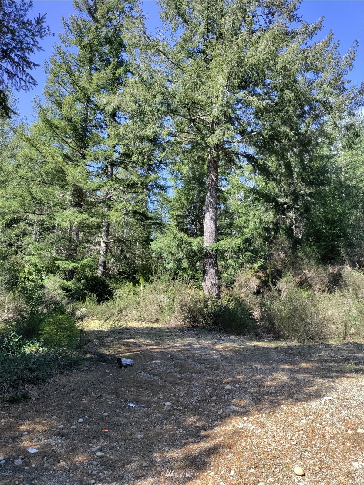 Property Photo:  4 Belfair Tahuya Road  WA 98588 