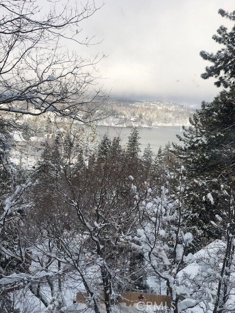 Property Photo:  394 Emerald Dr. (Aka 393 St Hwy 173)  CA 92352 