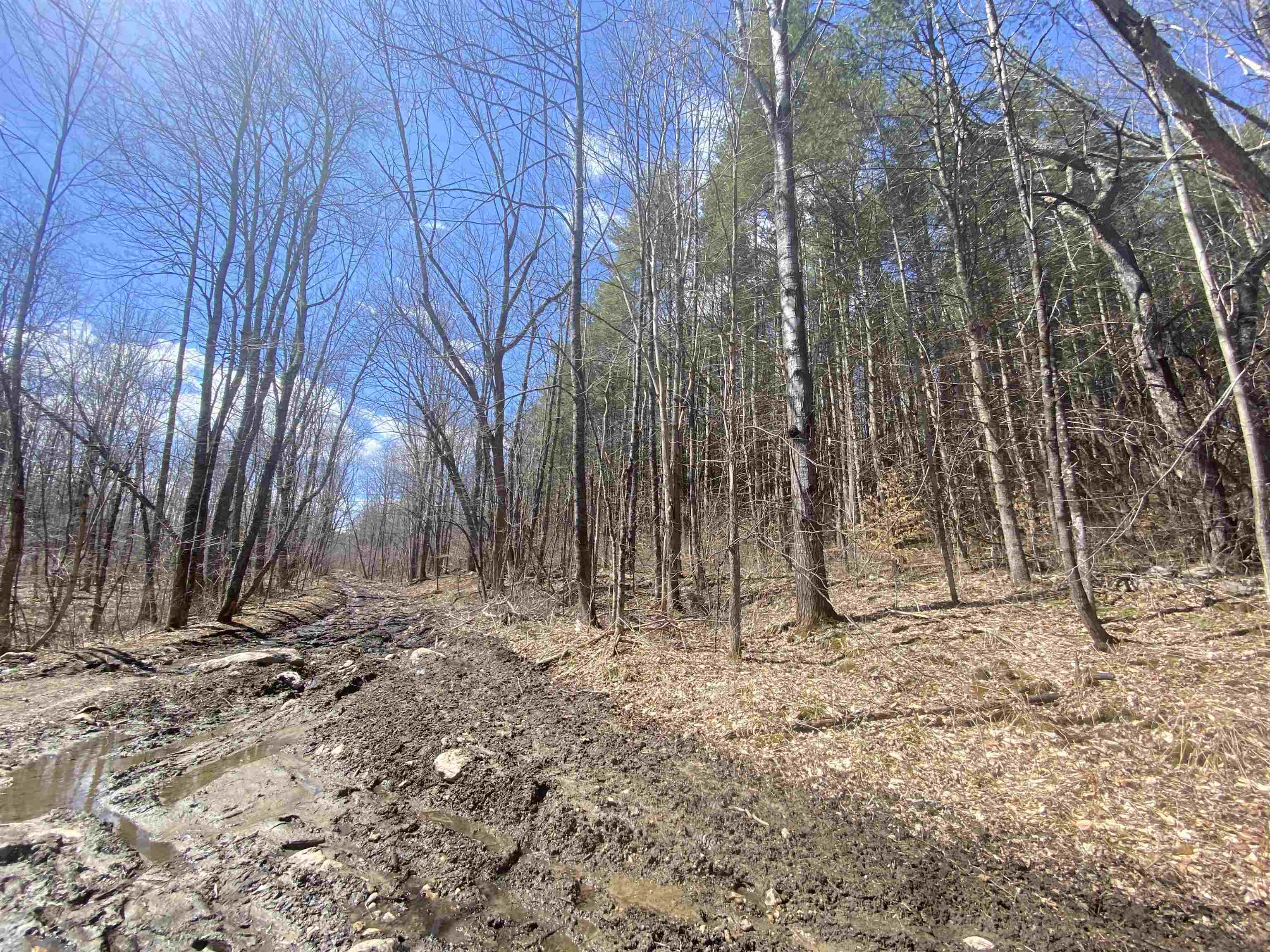 Property Photo:  0 Horton Lot B Road  VT 05759 