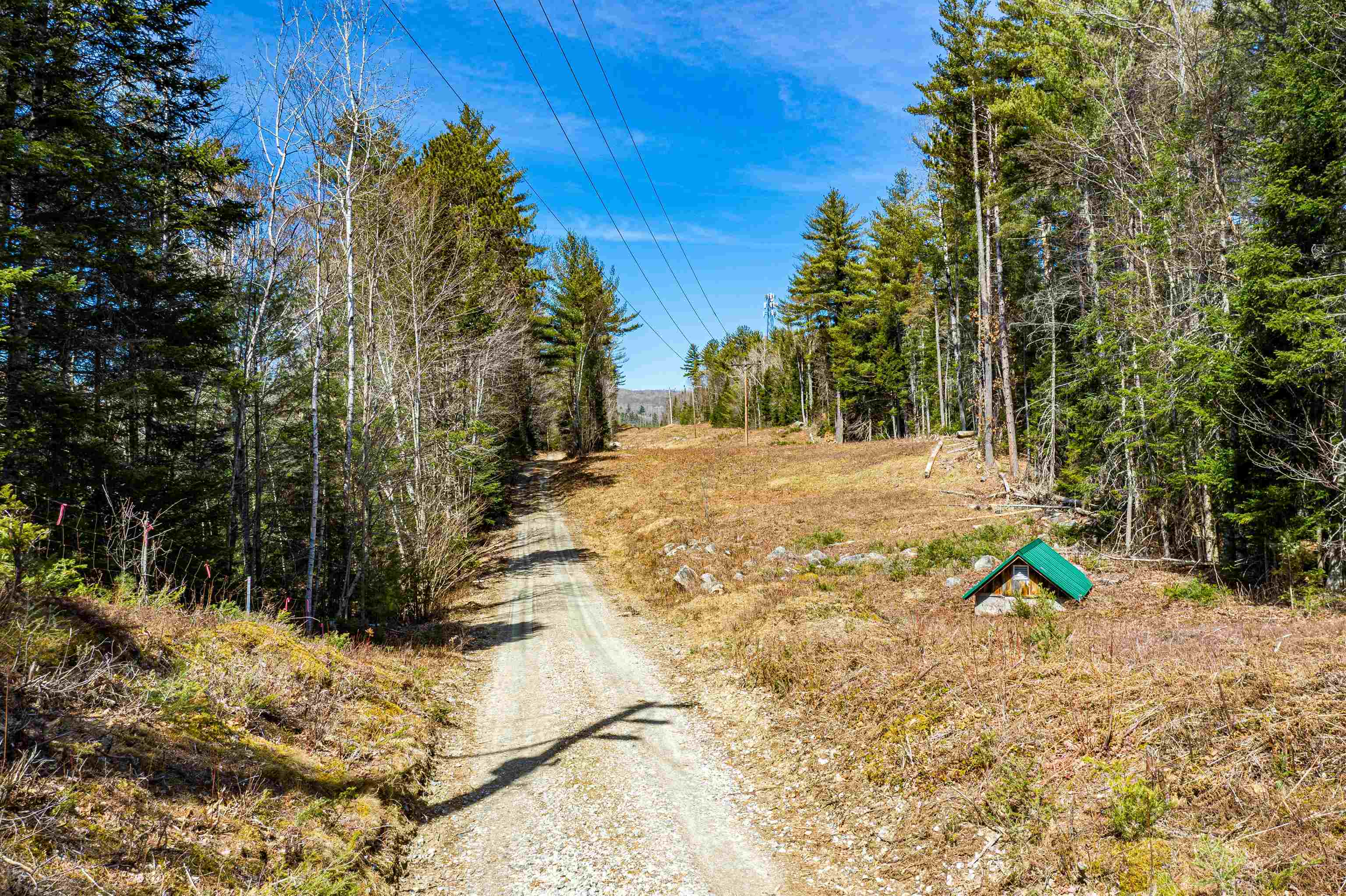 Property Photo:  000 Scrag Mountain Road  NH 03586 