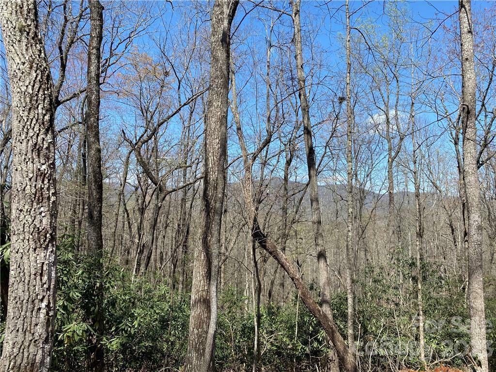 Property Photo:  V/L Lytle Mountain Road 9  NC 28752 