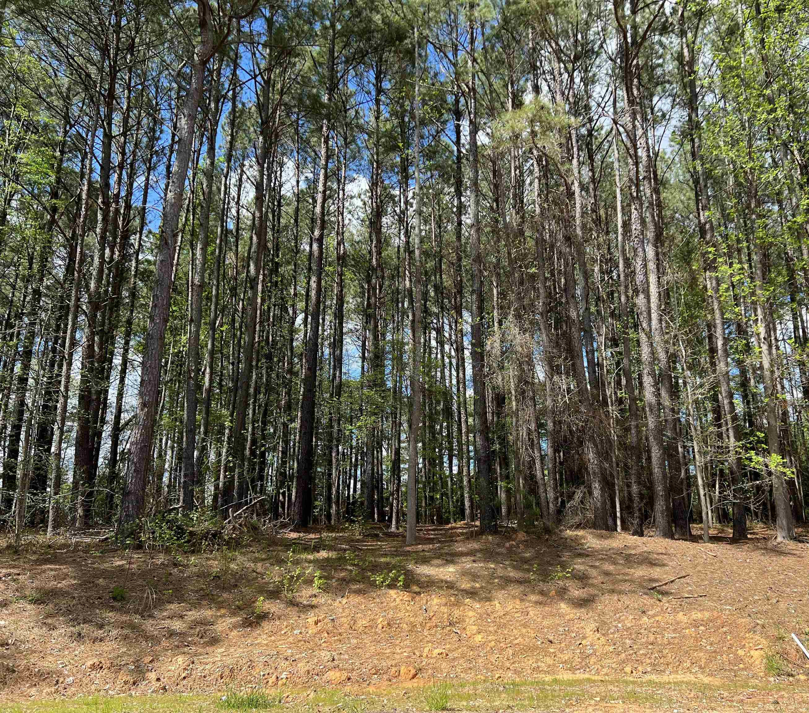 Lot 2 Keilind Court  Sanford NC 27330 photo