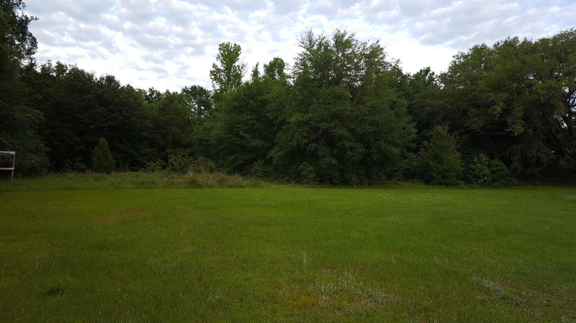 Property Photo:  N/A Main Street  FL 32428 