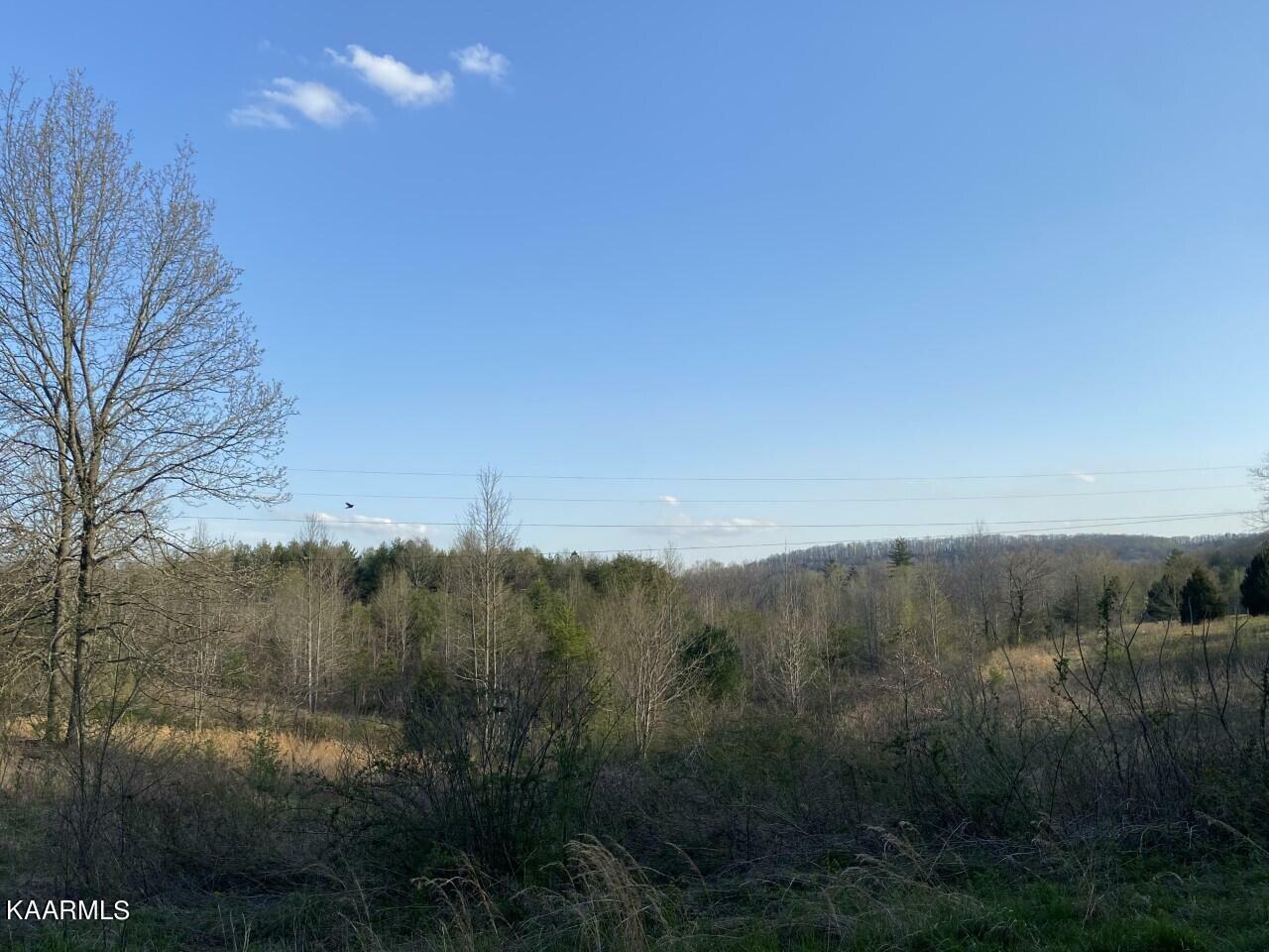 Property Photo:  242 Clifton Hines Rd  TN 37770 