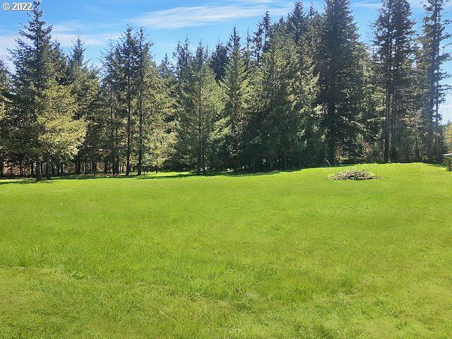 Property Photo: 0 NE 91st Ave WA 98629