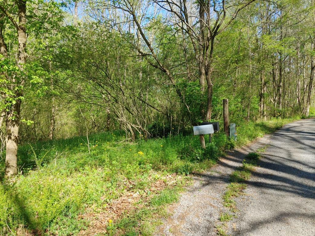 Tract A Banks Chappel Road  Ranger GA 30734 photo