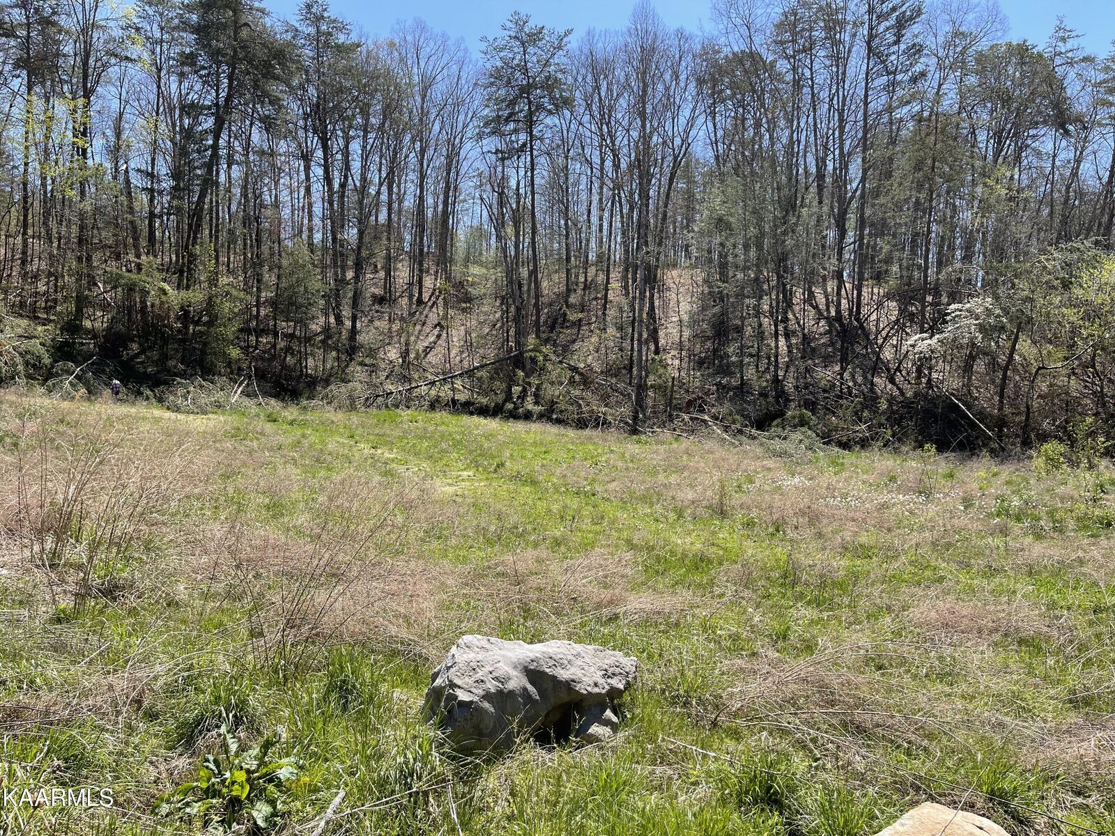 Property Photo:  2311 Price Way  TN 37876 