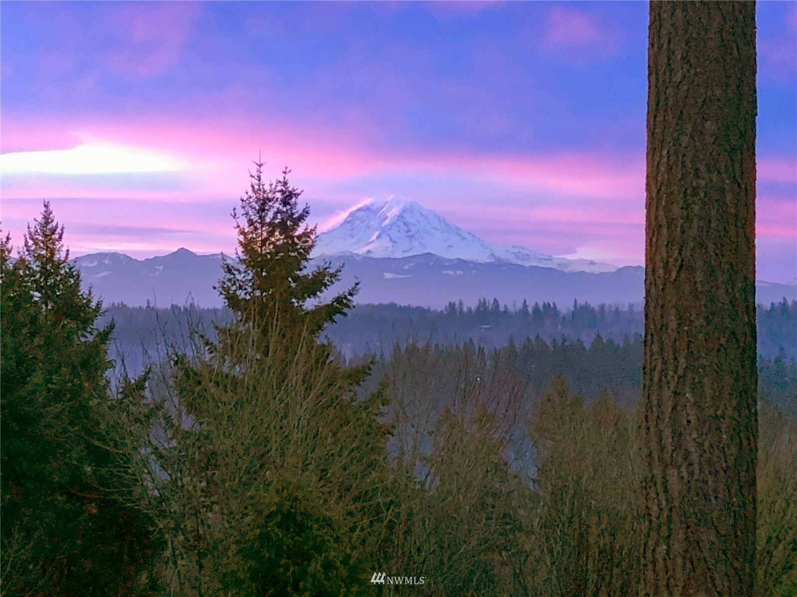 Property Photo:  13231 SE 312th Street  WA 98092 