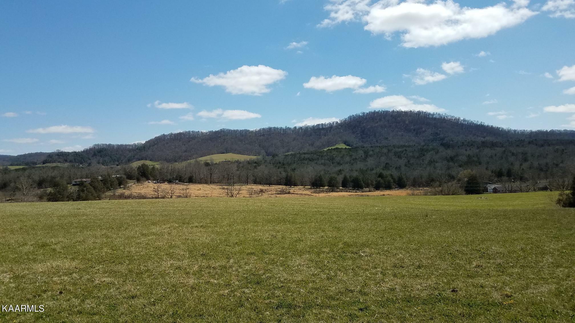 Property Photo:  Cedar Fork Rd  TN 37879 