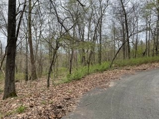 Property Photo:  Lot 11 Block 4 Brechin Lane  AR 72715 