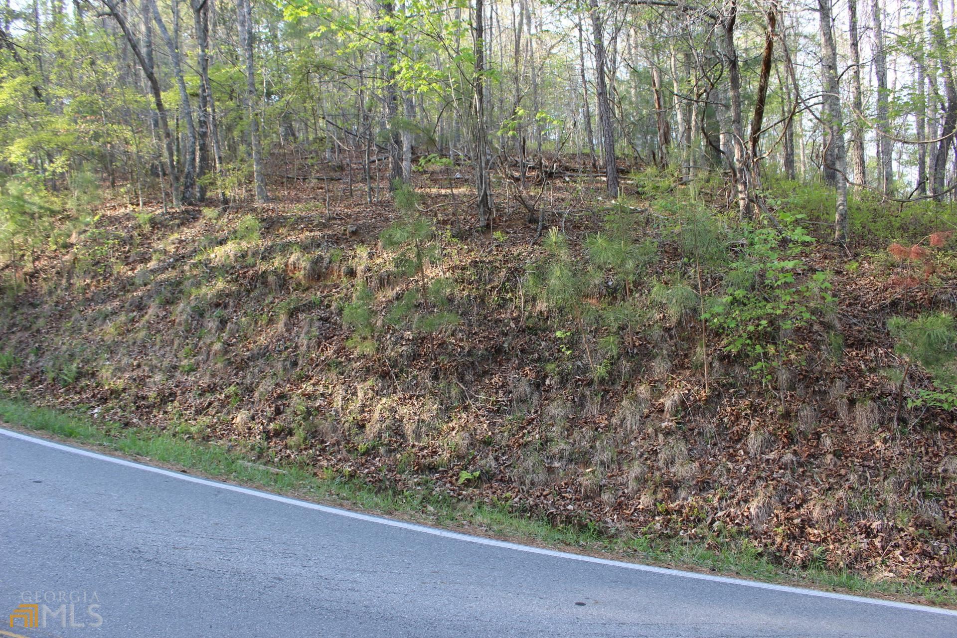 Lt 1753 Lemmon Drive  Ellijay GA 30540 photo