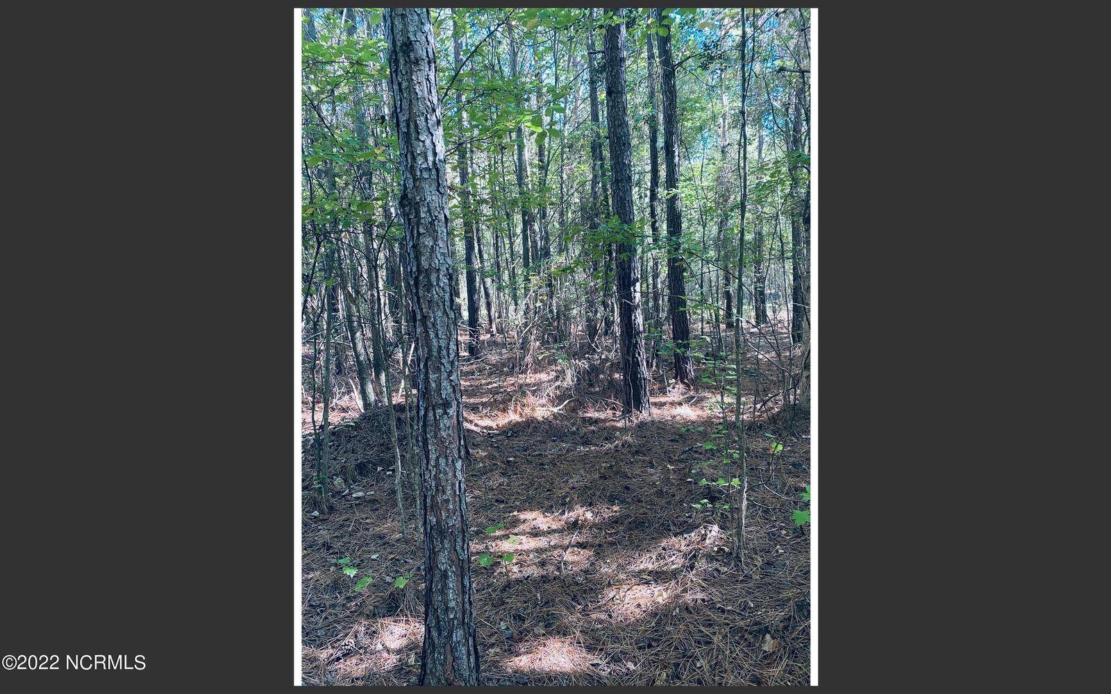 Property Photo: 1440 McLaurin Road NC 27344