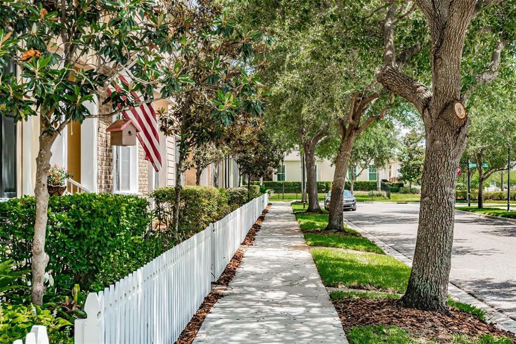 Property Photo: 6111 Hadley Commons Drive FL 33578