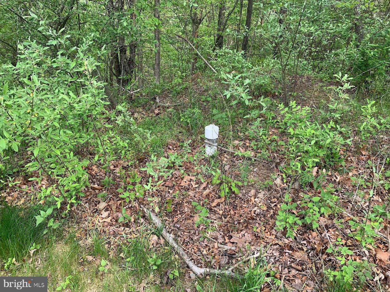 Property Photo:  Lot #184 Sleigh  VA 22625 