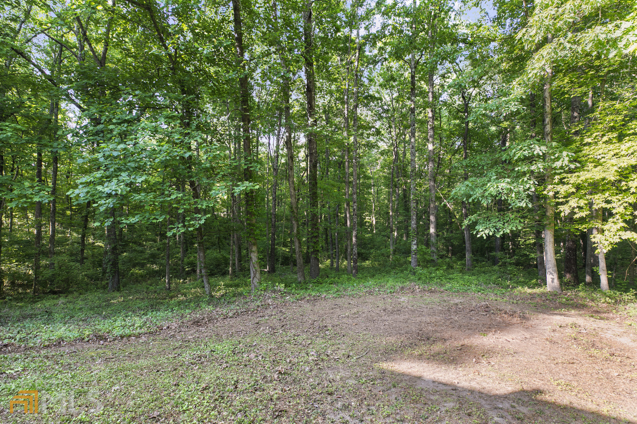 Property Photo: 376 Dillon Drive GA 30134