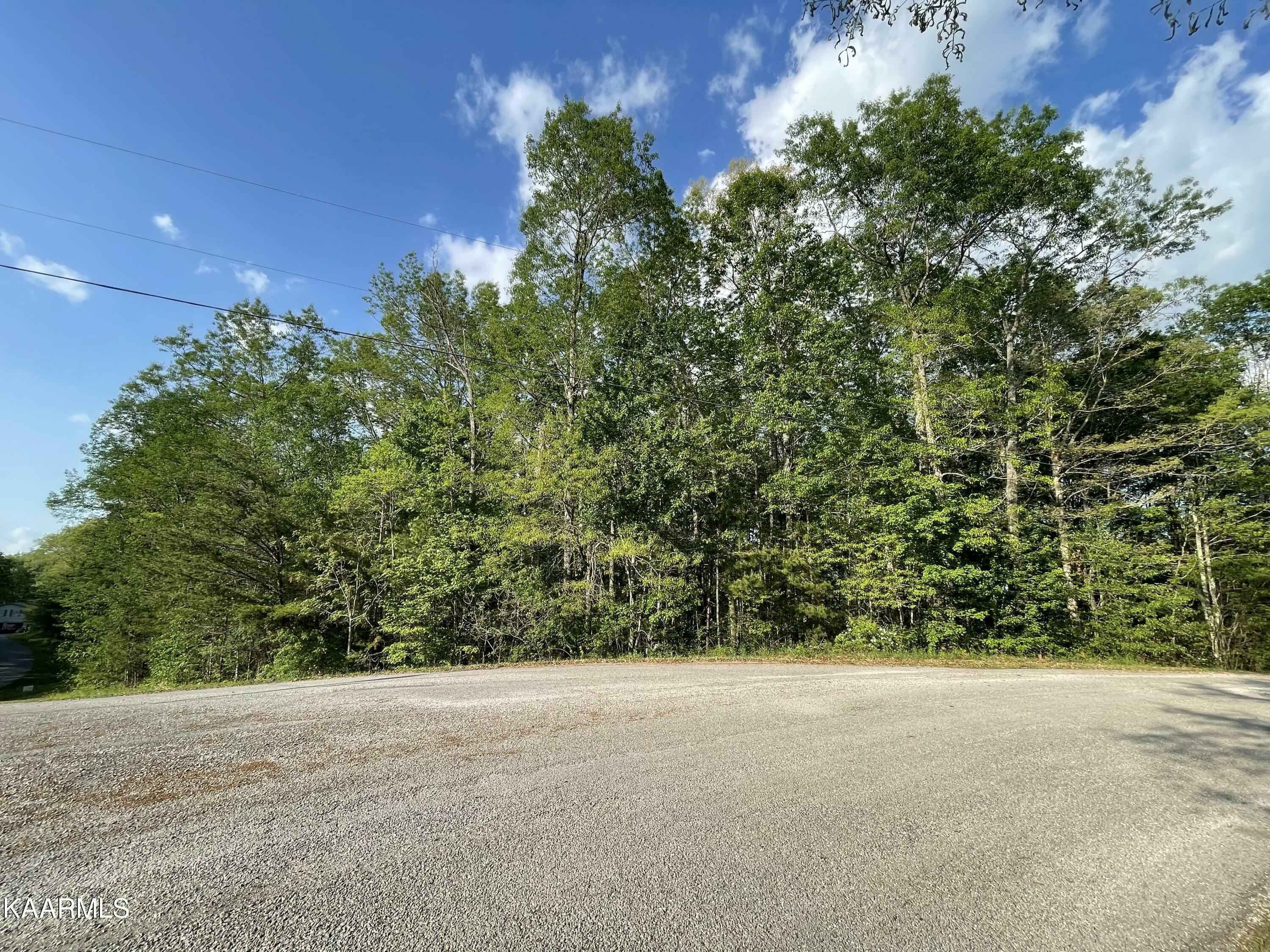 Property Photo:  Cold Springs Rd  TN 37841 