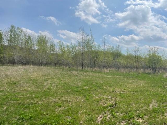 Property Photo:  Lot 32 Queens Drive  WI 54738 