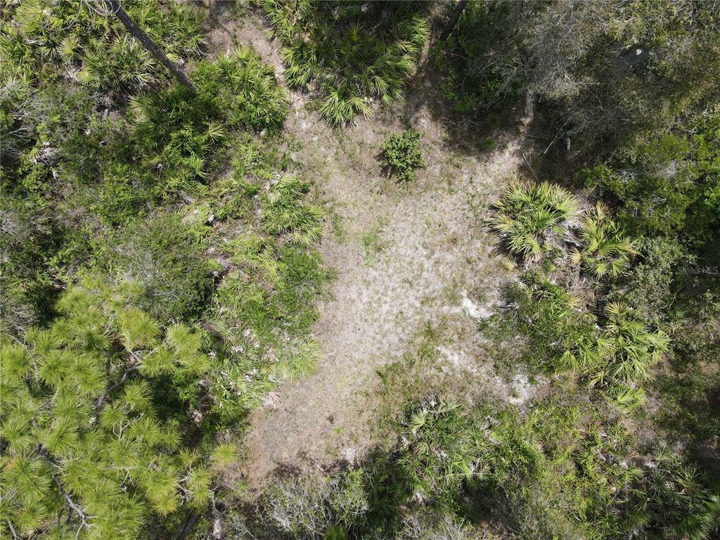 Property Photo: 12262 Caravan Drive FL 33955