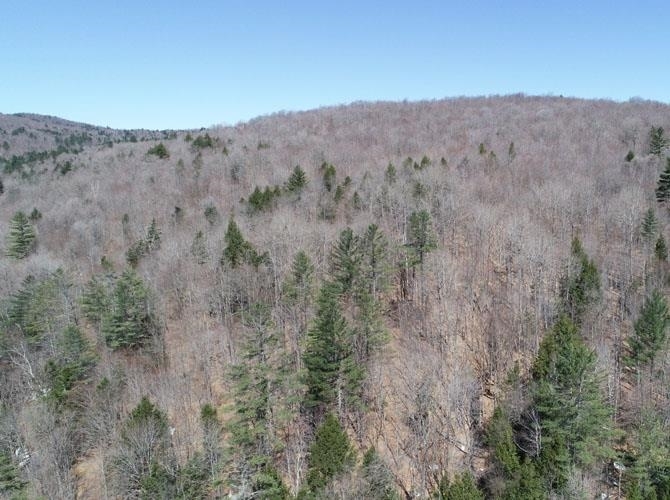 Property Photo: 0 Ward Brook Road VT 05660