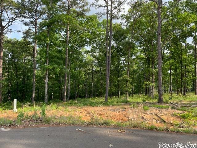 00 Empy Trail Lot 1  Conway AR 72034 photo
