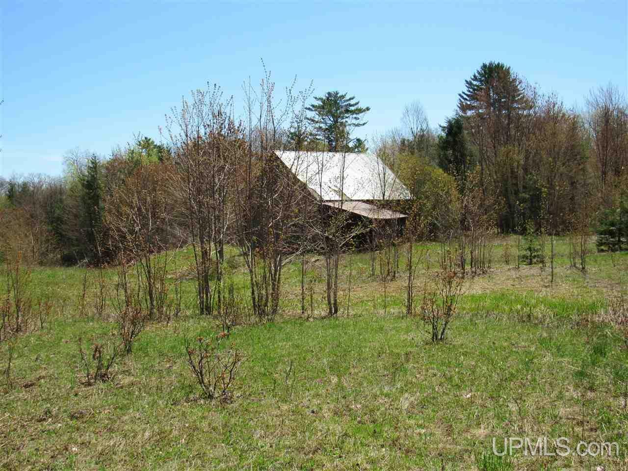 Property Photo:  43599 Lehtola Road  MI 49916 