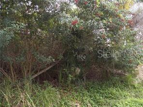 Property Photo:  Geneva Road  FL 34293 