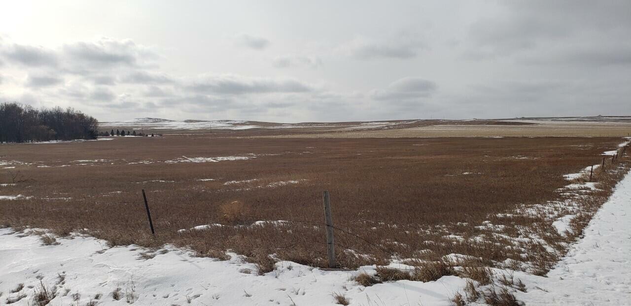 Property Photo:  On Co Rd 87  ND 58554 