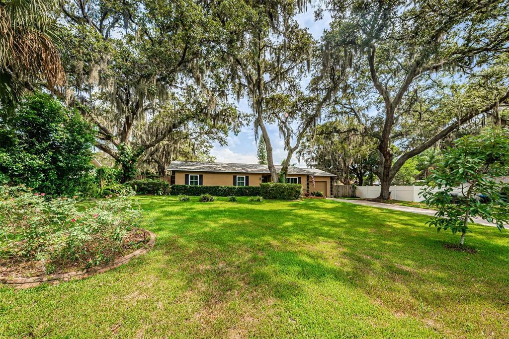 Property Photo:  11203 Creekview Drive  FL 33569 