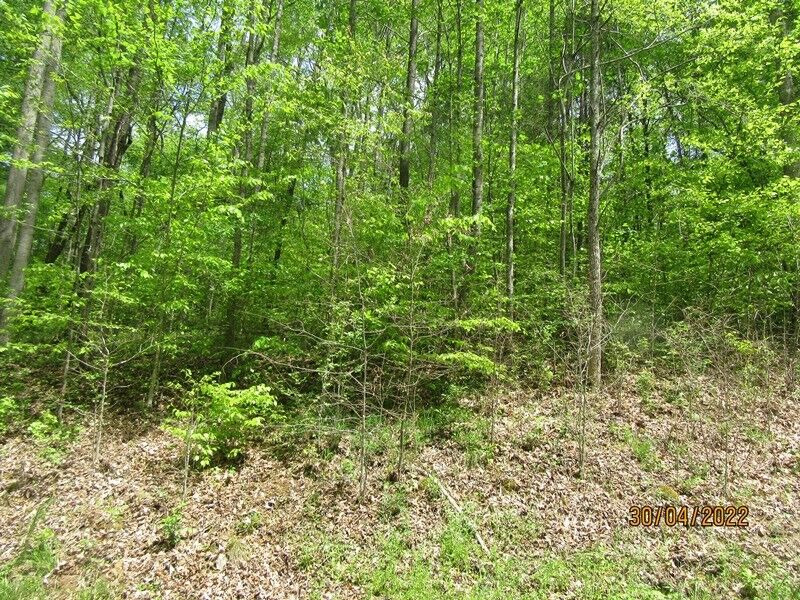 Property Photo:  234 Lakeshore Dr.  TN 37058 